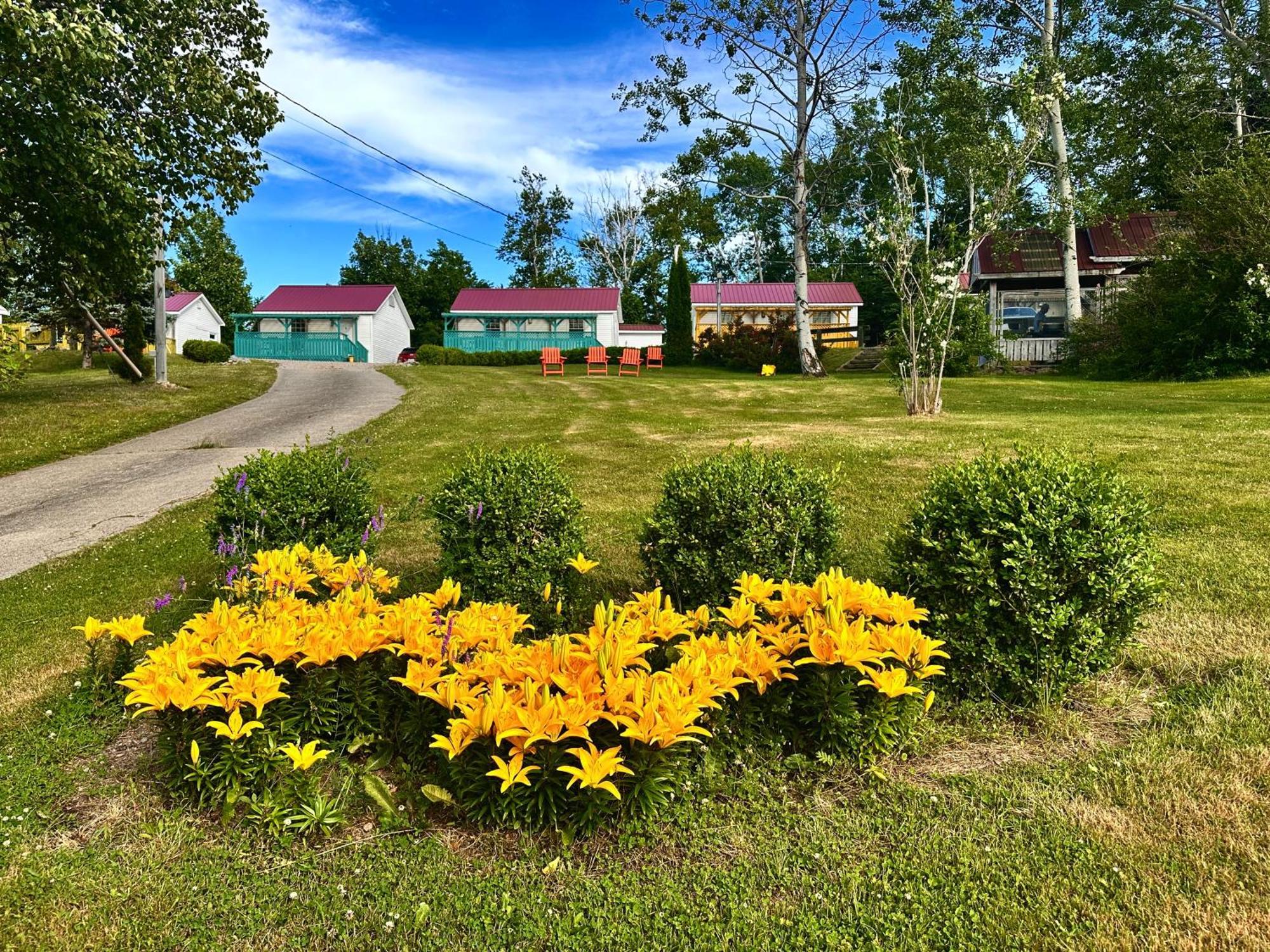 Skyline Cabins Ингониш Екстериор снимка